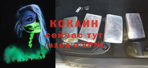 дживик Касимов