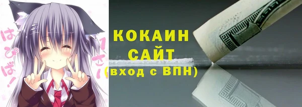 дживик Касимов