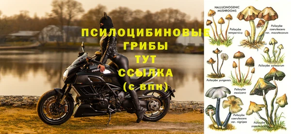 дживик Касимов