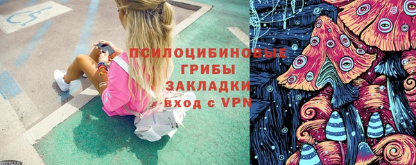2c-b Кодинск