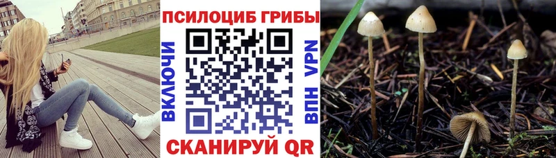 Псилоцибиновые грибы мухоморы  как найти наркотики  Лукоянов 